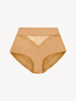 Nude Lycra Control Fit High-waist Briefs With Chantilly Lace
