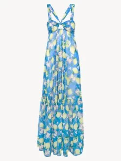 Blue Printed Maxi Dress